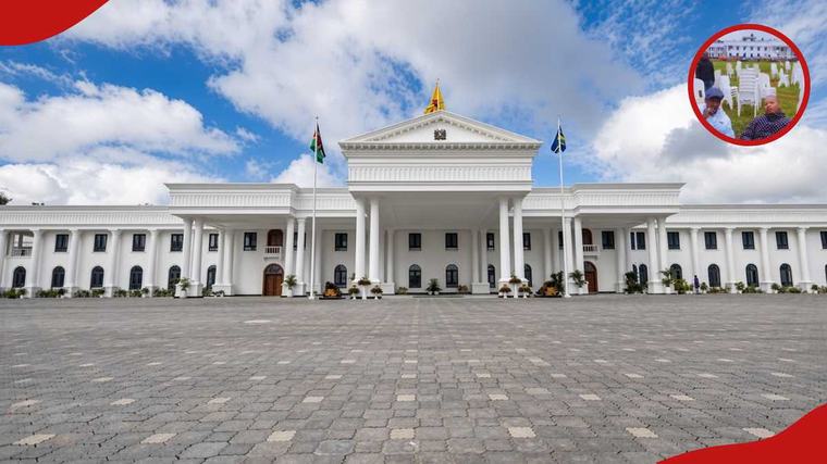 Video of young men chewing miraa at state house shocks Kenyans