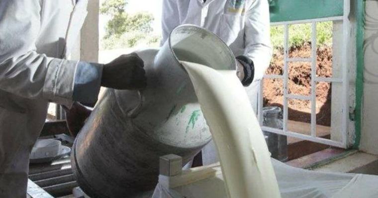Kenya’s milk shortage, who is feeling the pinch most?