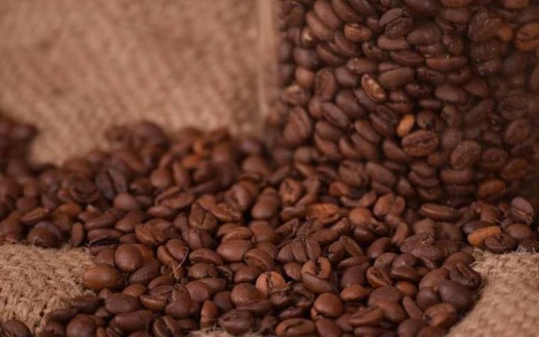 Coffee weekly auction fetches Sh896 million
