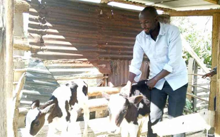 Extension services now just a tap away for Nandi farmers
