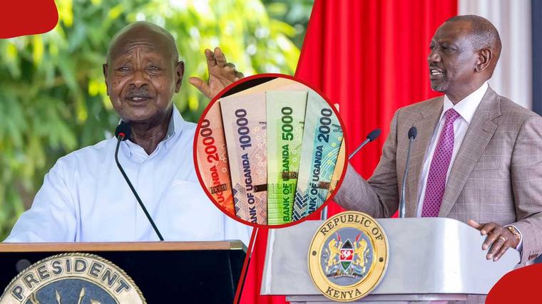 How Kenyan shilling is performing against EAC currencies after foreign exchange reserves decline