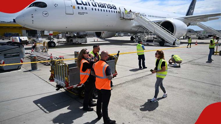 German Airport Worker Dies after Mosquitoes Arrive on Plane, Authorities Say
