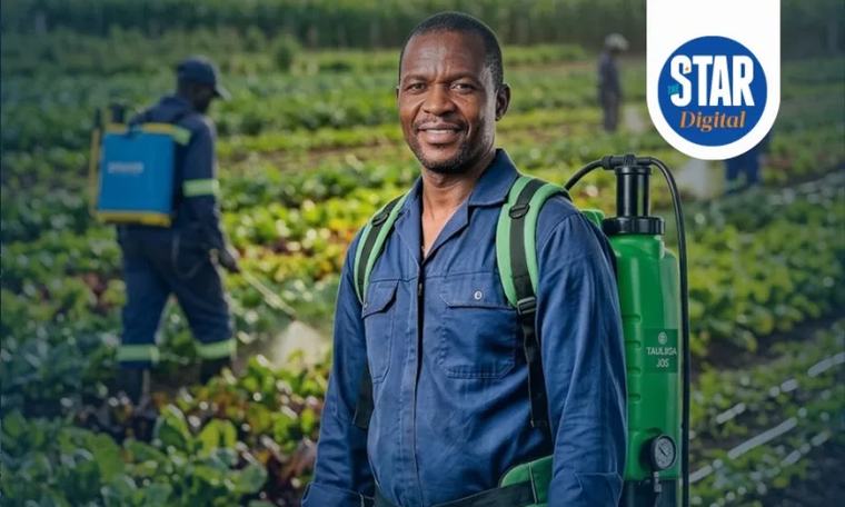 Top users of pesticides in Africa 1d ago
