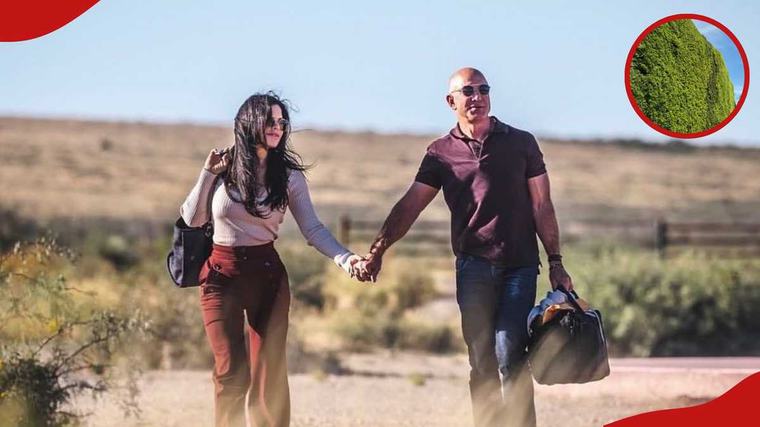 Jeff Bezos: Video of billionaire’s grand fence which he pays fine for surfaces