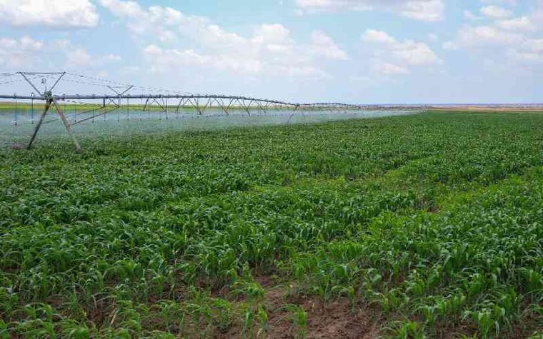 Africa won't transform food systems without investing in water