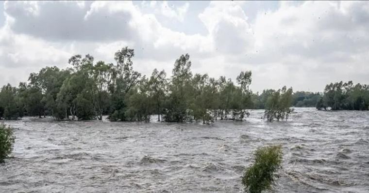 WMO issues fresh El Niño warning as Kenya braces for above-normal rains: details