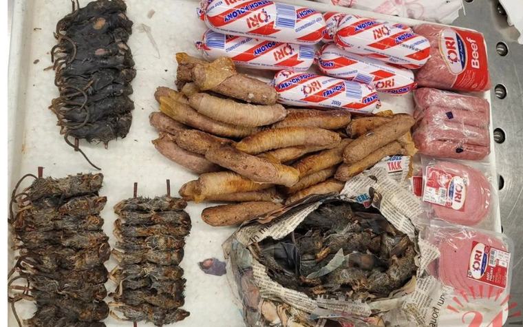Malawi passenger intercepted with dried rodents, 10kg raw beef at Chicago airport