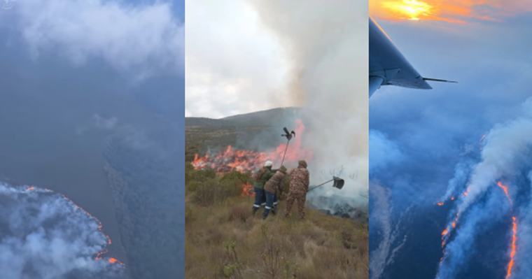 Part of Mount Kenya engulfed in flames as firefighters battle raging inferno