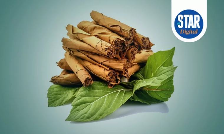 Main tobacco leaf exporters in 2024 in Africa 2d ago