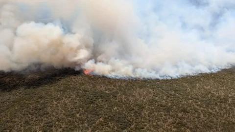 Fire ravages over 3,000 hectares in Mt Kenya forest