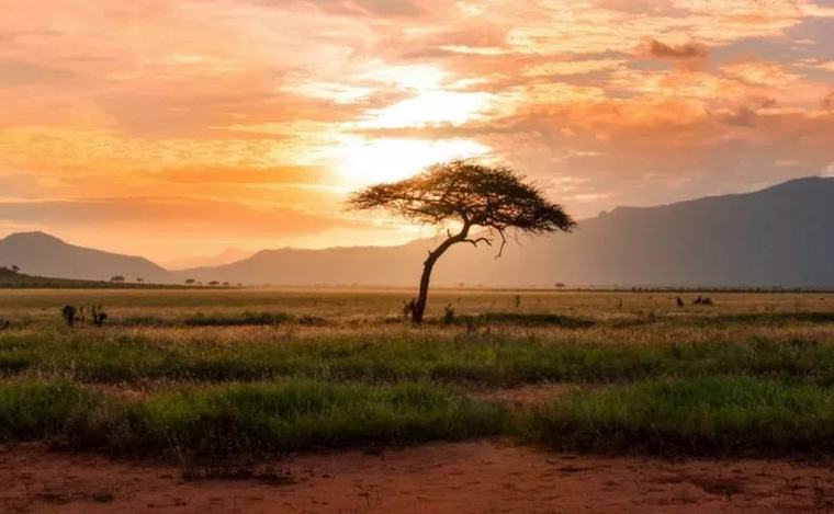Met: Most parts of Kenya to remain dry this week Farmers have been urged to use the dry spell to prepare for the October–December rains.