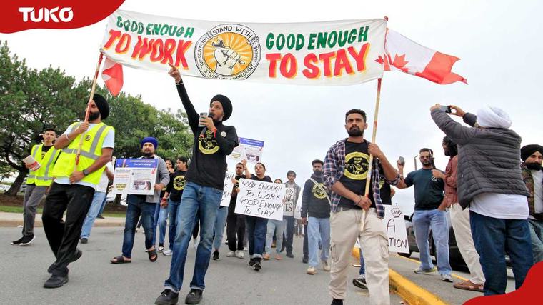 Canada hikes study permit funds proof to KSh 3m for Kenyan, foreign students